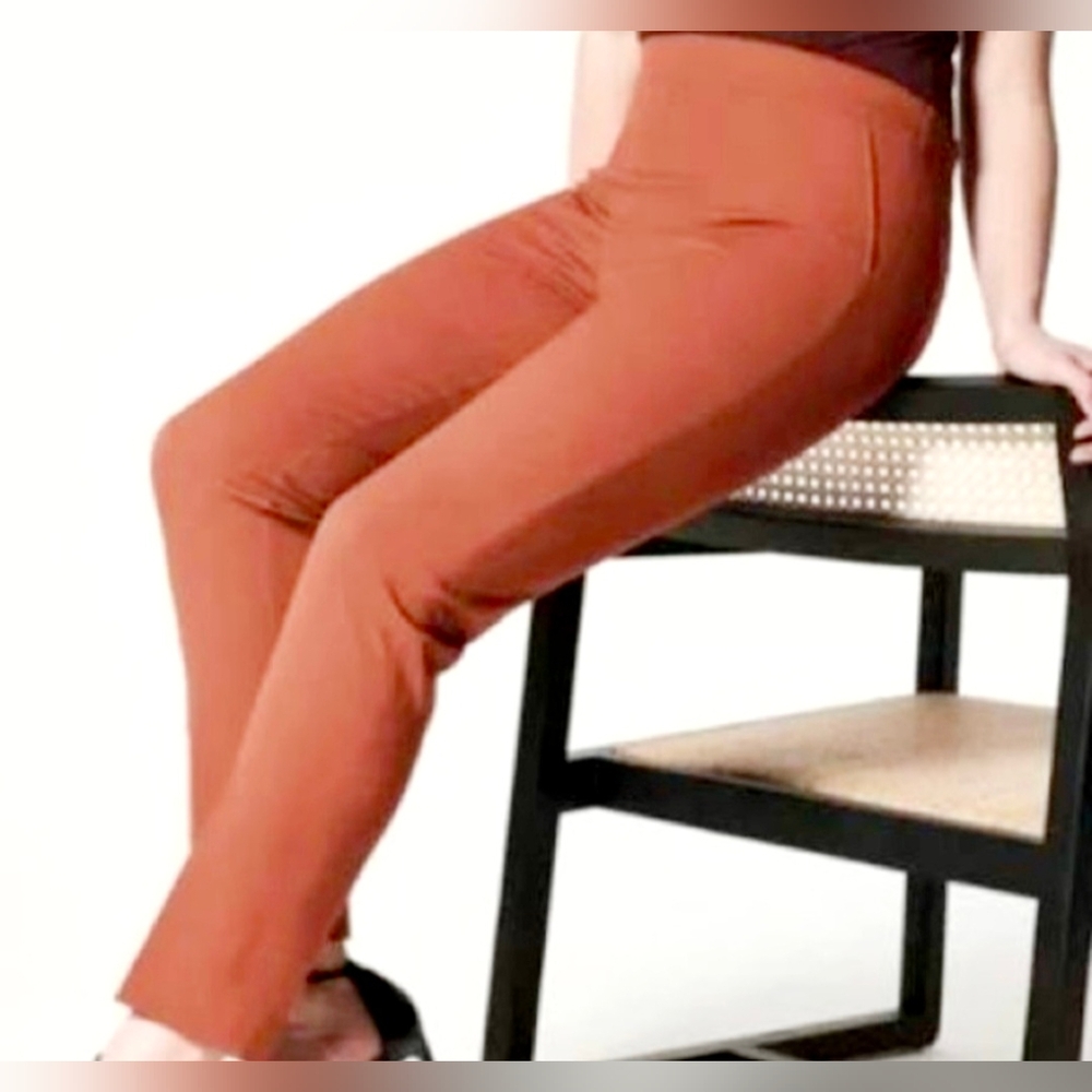 SPANX Women's On-The-Go Ankle Slim Straight Pants Bronze Glow Business Casual S